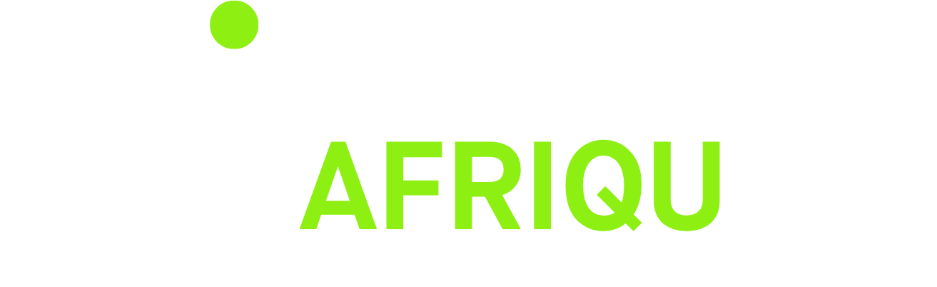 Afriquing Conseil & Ingénierie